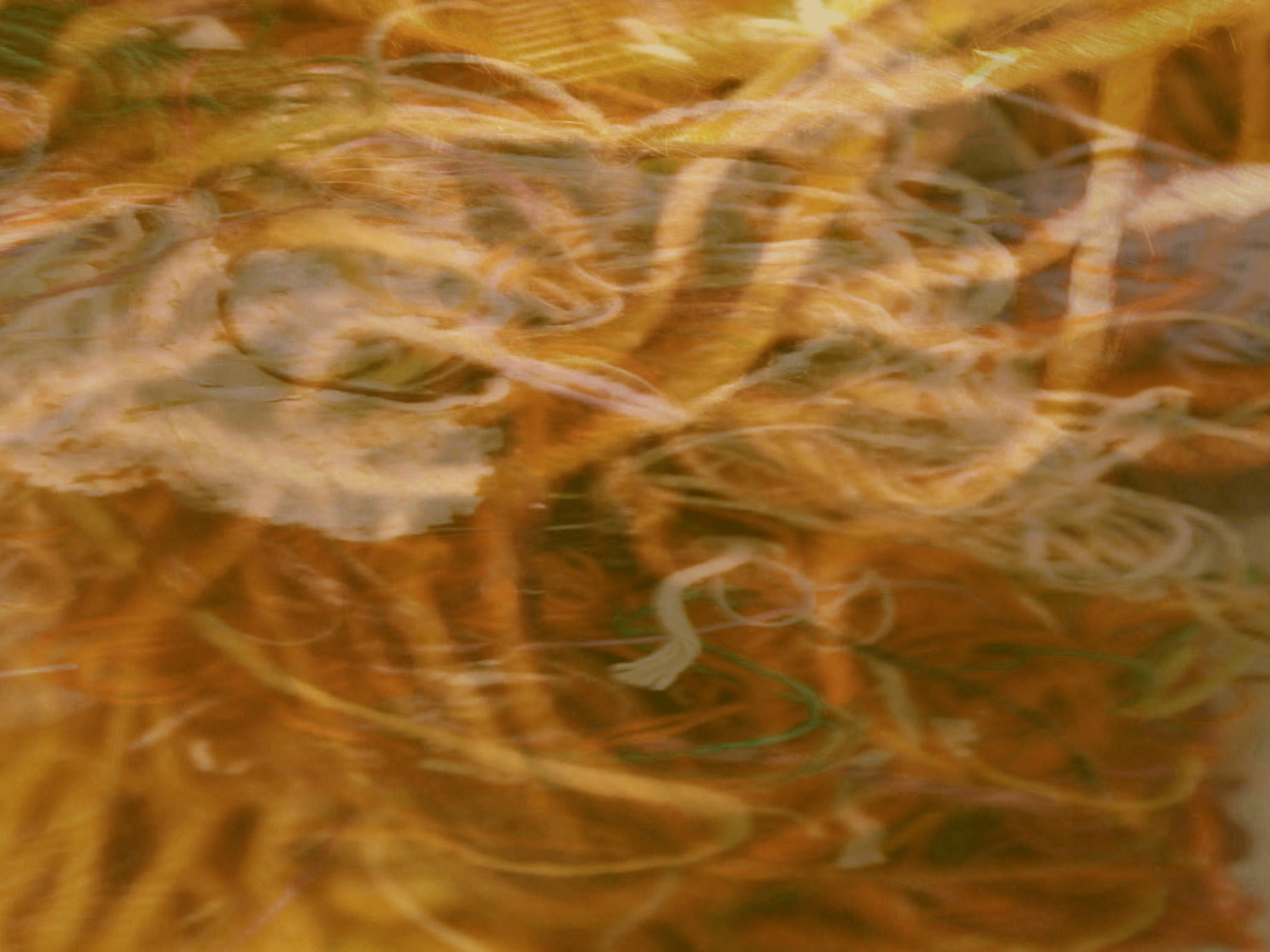 joanne_young_background