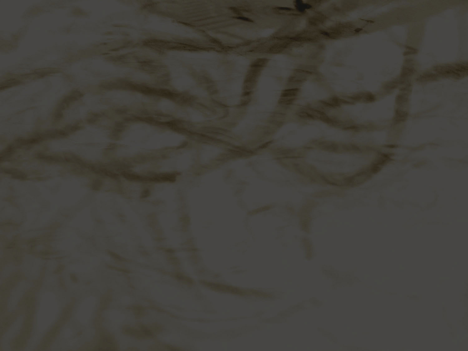 kim_stanford_background