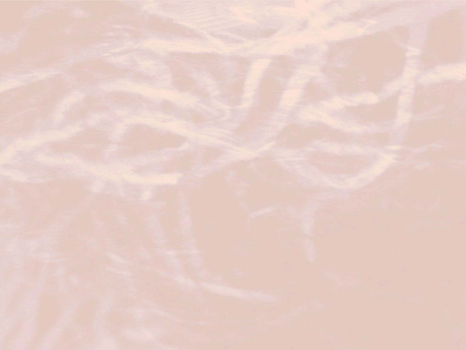 leanne_shea_rhem_background