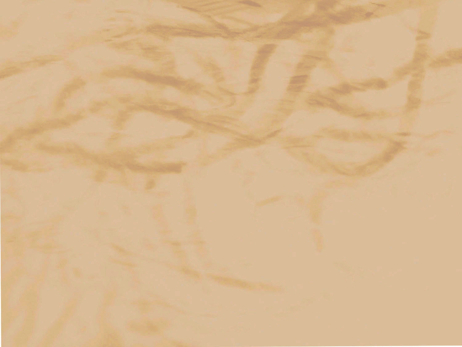 leslie_pontz_background