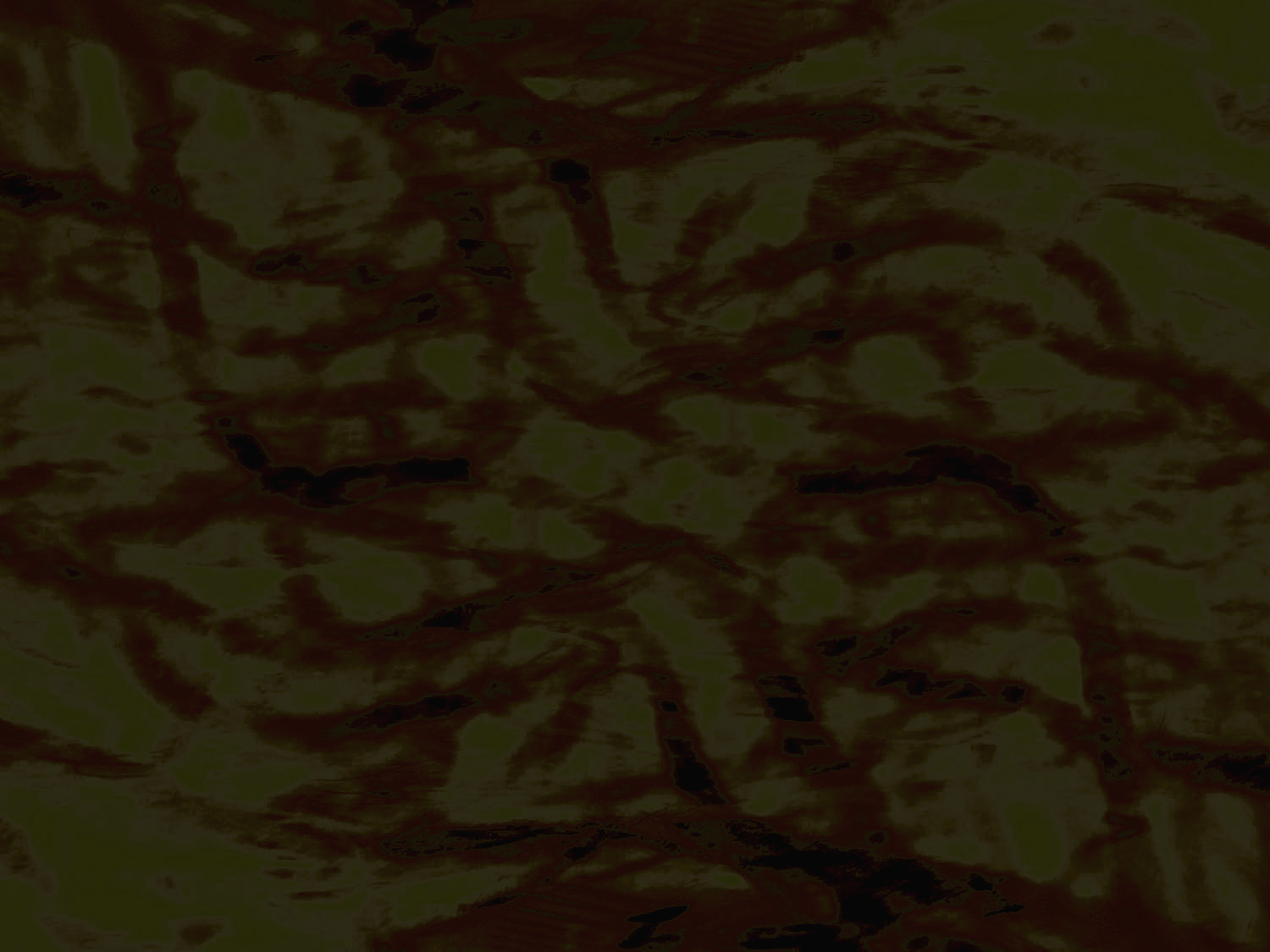 lizz_aston_background