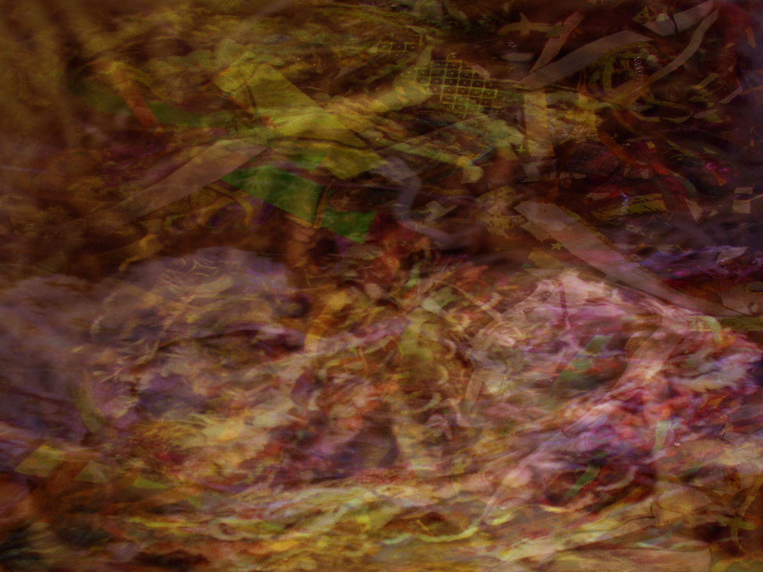 mary_karavos_background