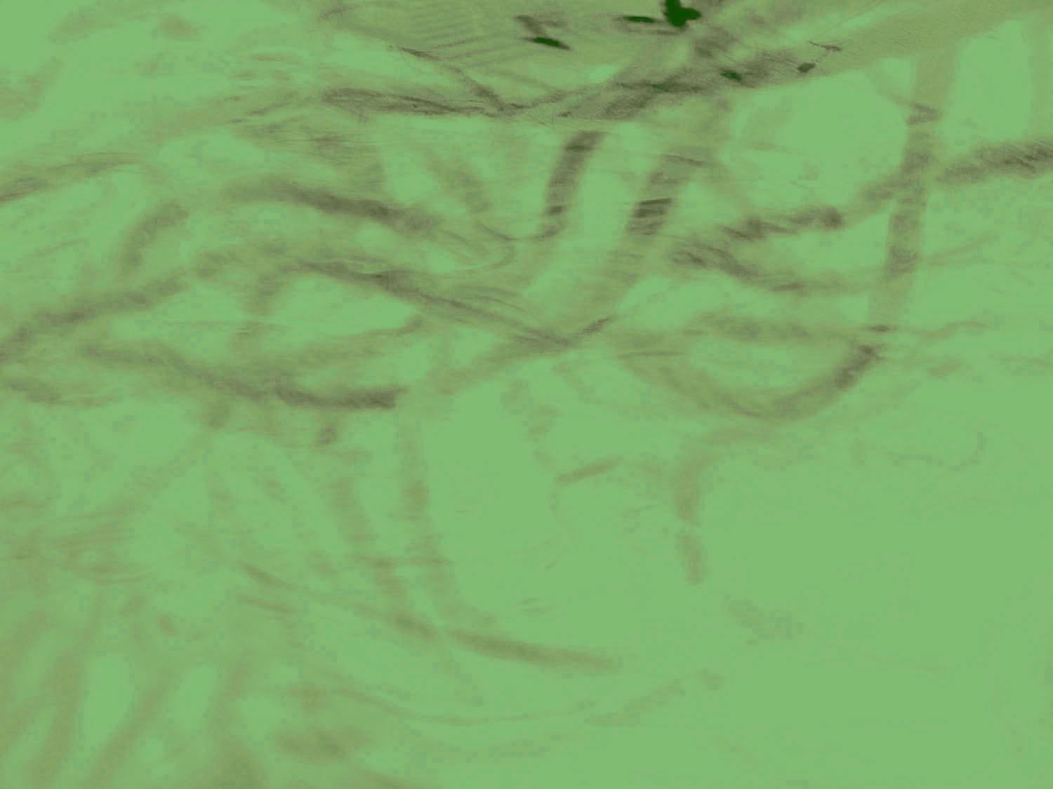 robert_davidovitz_background