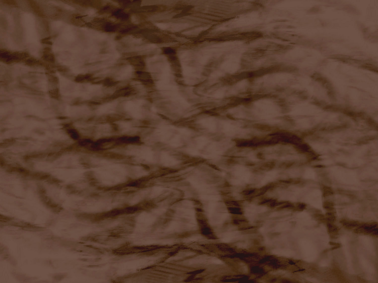 susan_strachan_johnson_background copy