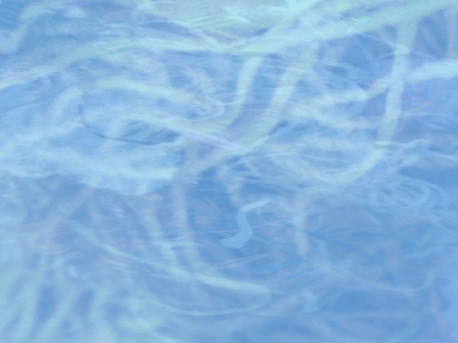 suzanne_morlock_background