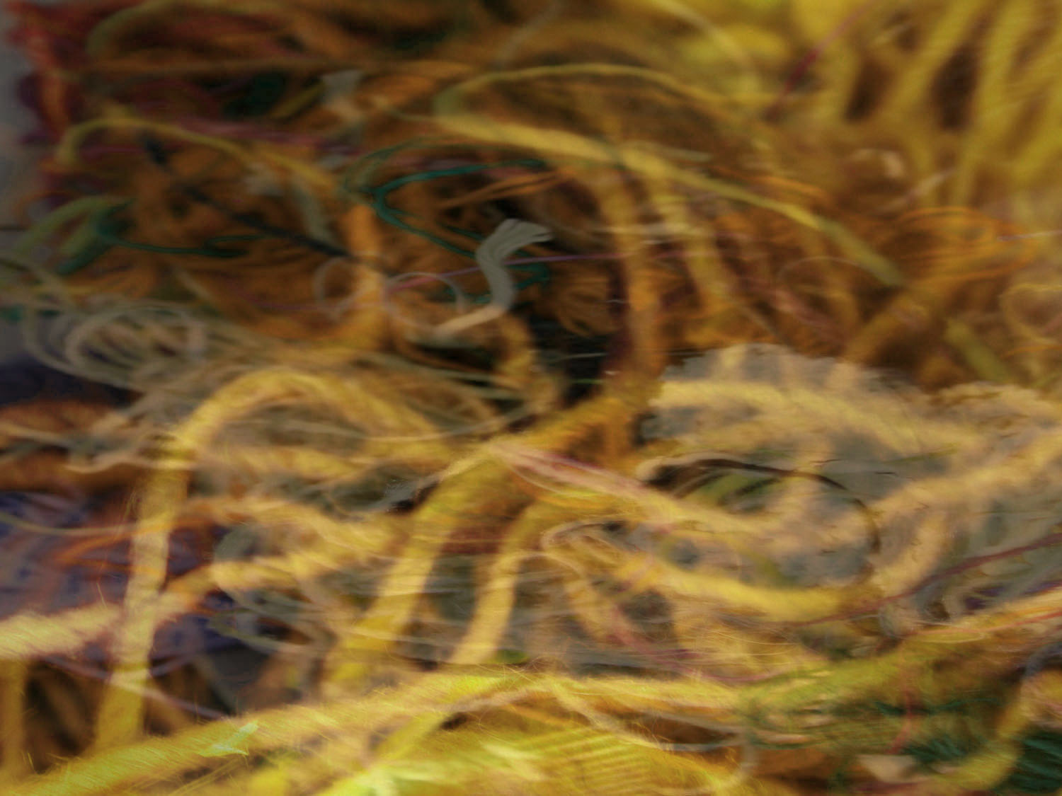 Background image for interview with Ulrikka Mokdad