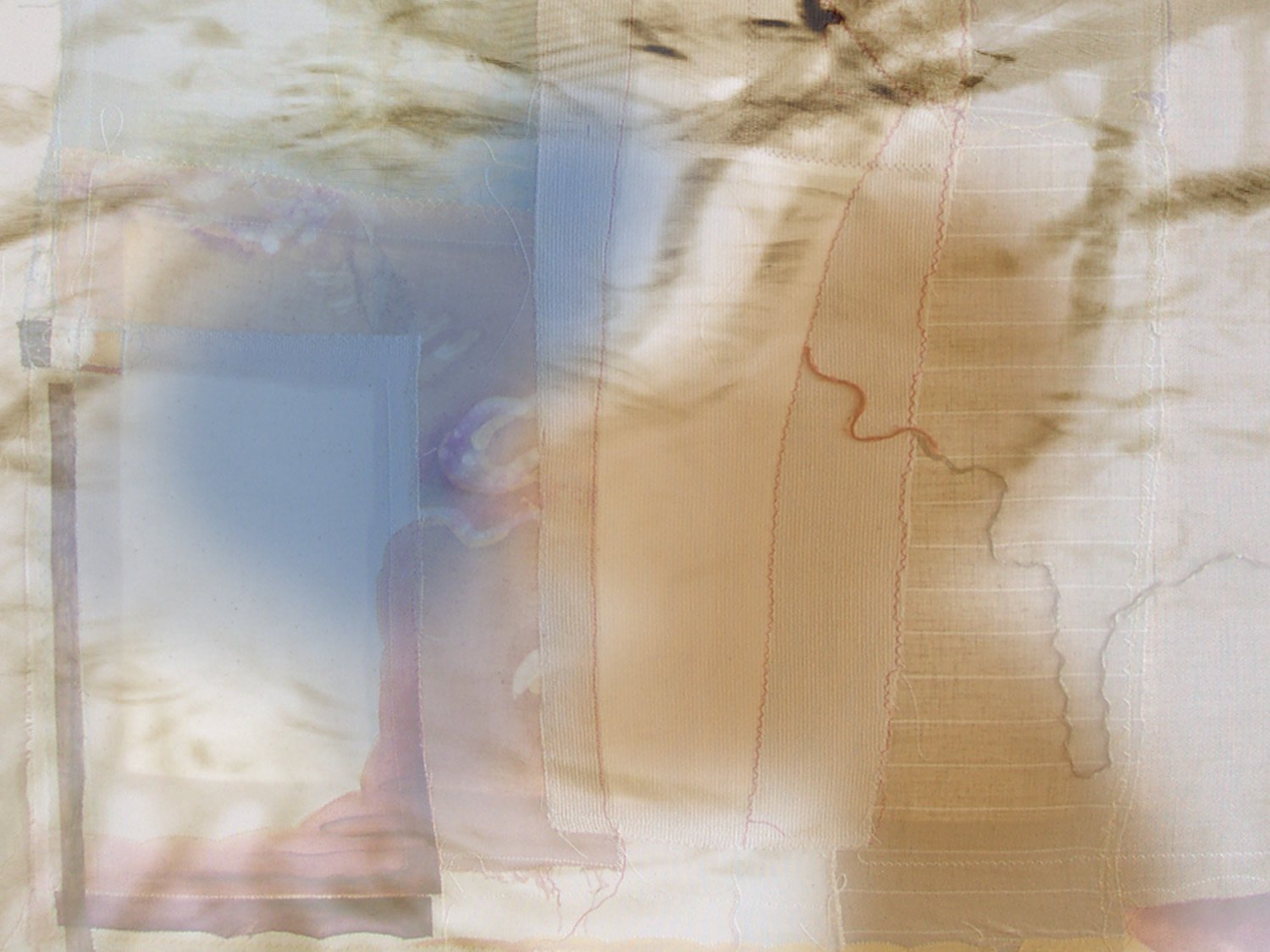 allyn_cantor_background2