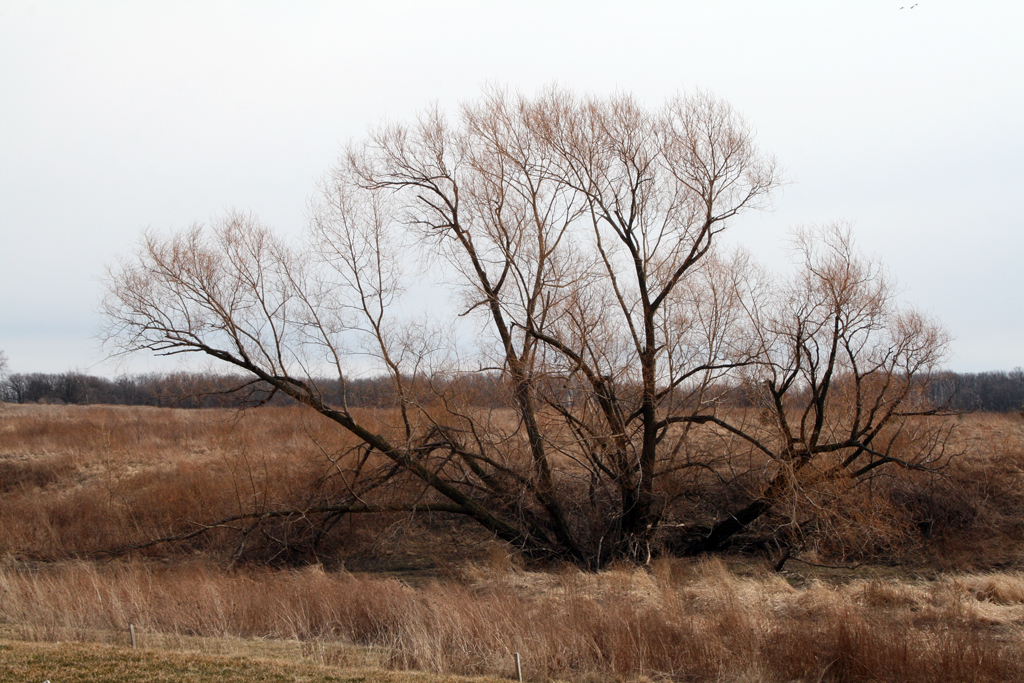 The view from Joshua Creek Heritage Art Centre, World of Threads Festival 2012.