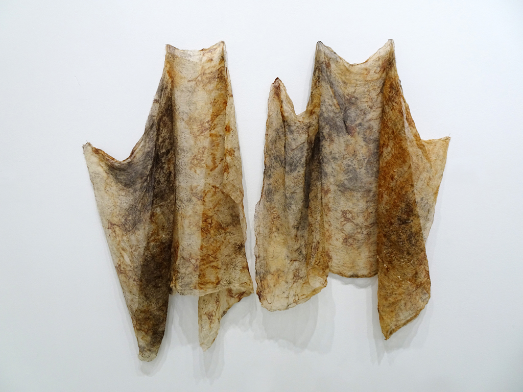Pat Loucks: Unearthed #10, 2017, 120H x 80W x 5D cm (each piece), organza silk fabrics, stained and dyed with fresh plant leaves, dried tea leaves and rusted metal, torn, stitched.
