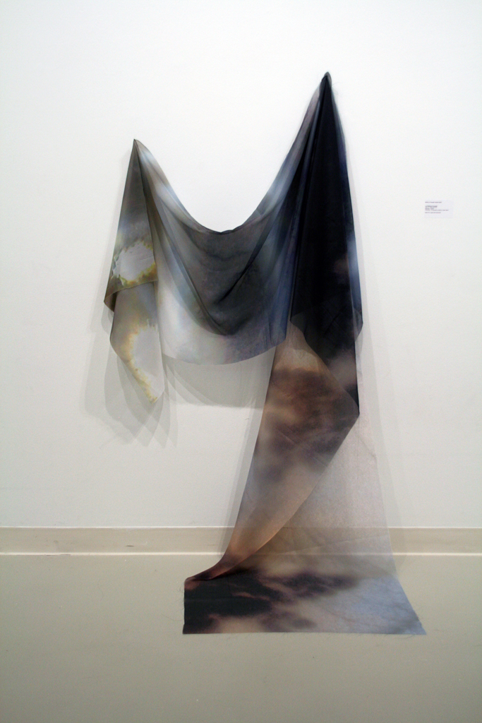 Lori Birkbeck: Water and Sky, 2017, 215H x 76W x 6D cm, chiffon. Technique: photographs printed on sheer fabric.