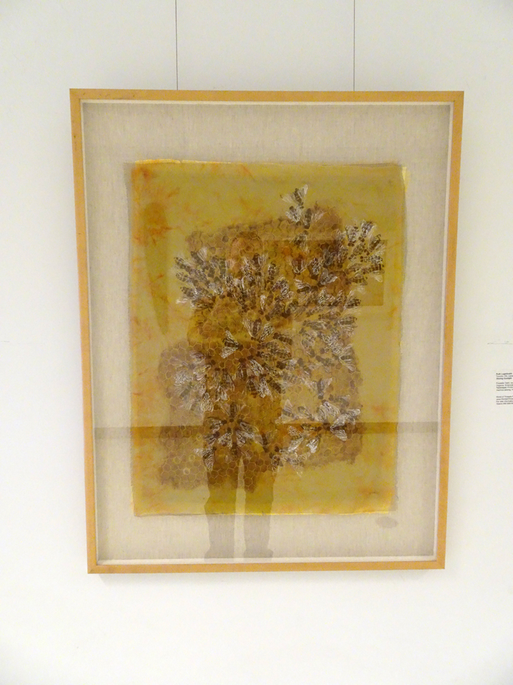 Storing Sunlight, 2016,
65H x 50W x 1D cm
Medium: Polyester Satin, synth. Felt, Polyester Organza, Embroidery floss, Metallic Thread
Technique: Printing (Collagraph, Lino blocks), Hand embroidery.
Framed in Shadow Box (86H x 67W x 4D cm).
