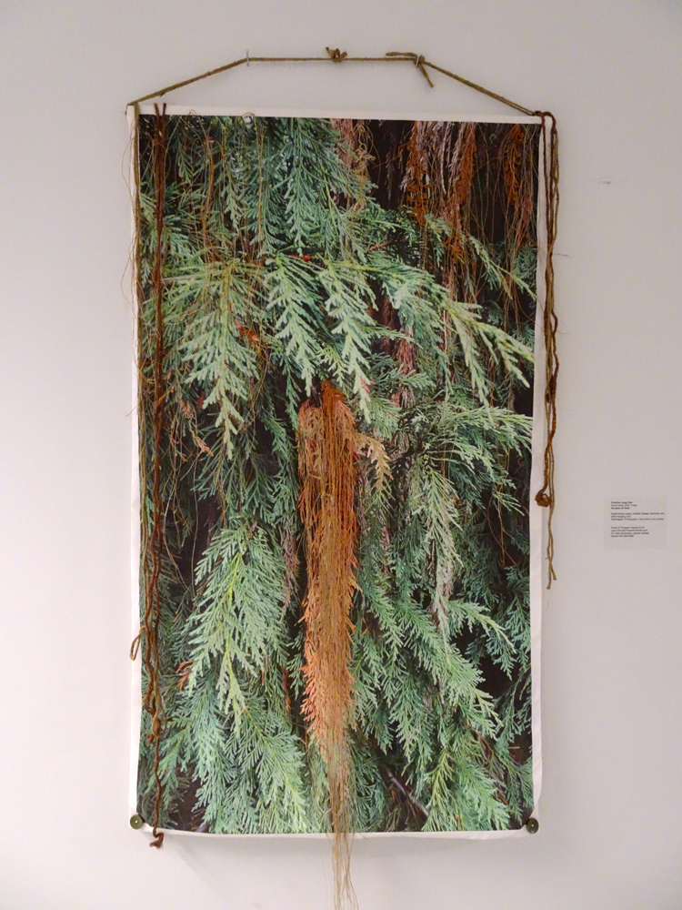 Streams of Gold, 2015, 75cm(w) x 128cm (h),
Medium: digital photo output, metallic thread, branches and dried hanging vine.
May be looking like an old withered cypress branch, but shimmering in golden bronze, Aged – the Sublime Beauty 