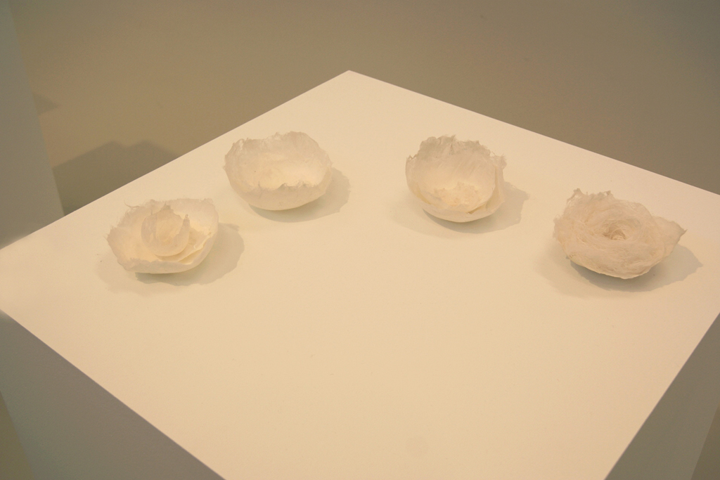 Dagmar Kovar, Bowls.