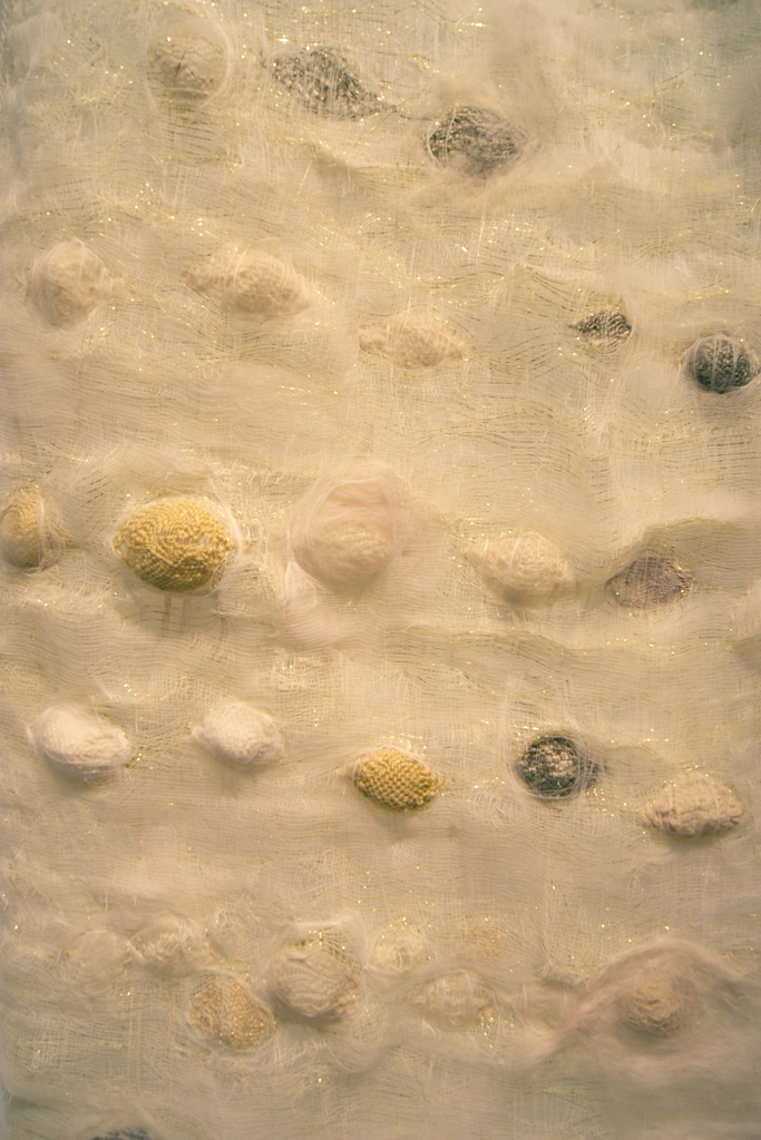 Ixchel Suarez, Fractals from Nature, detail.