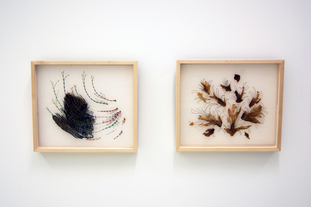 Lori Zimmerman, New Growth and Unbound.