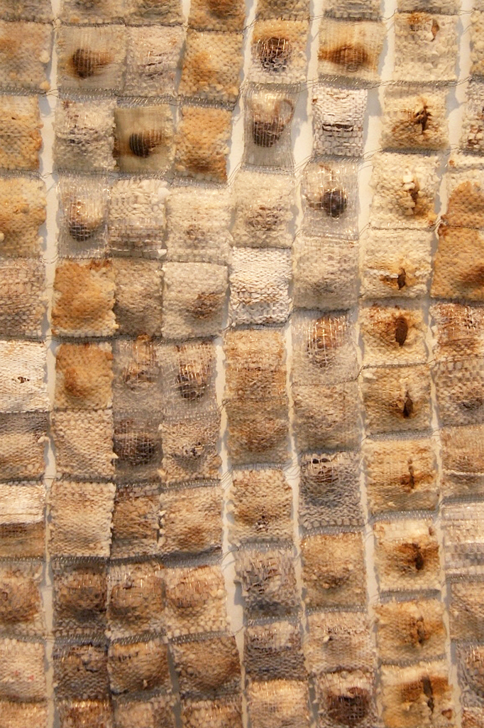 Megan Bostic, Stale Hope too much was never enough, detail.