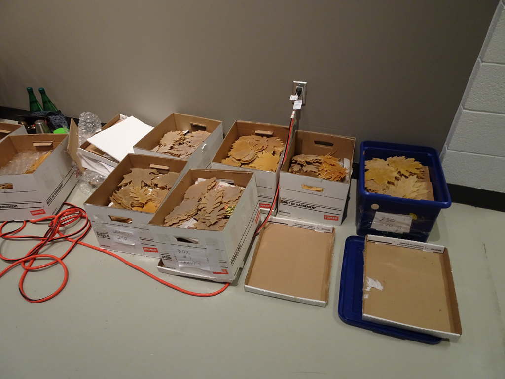 Step 1: Opening boxes of individual leaves.