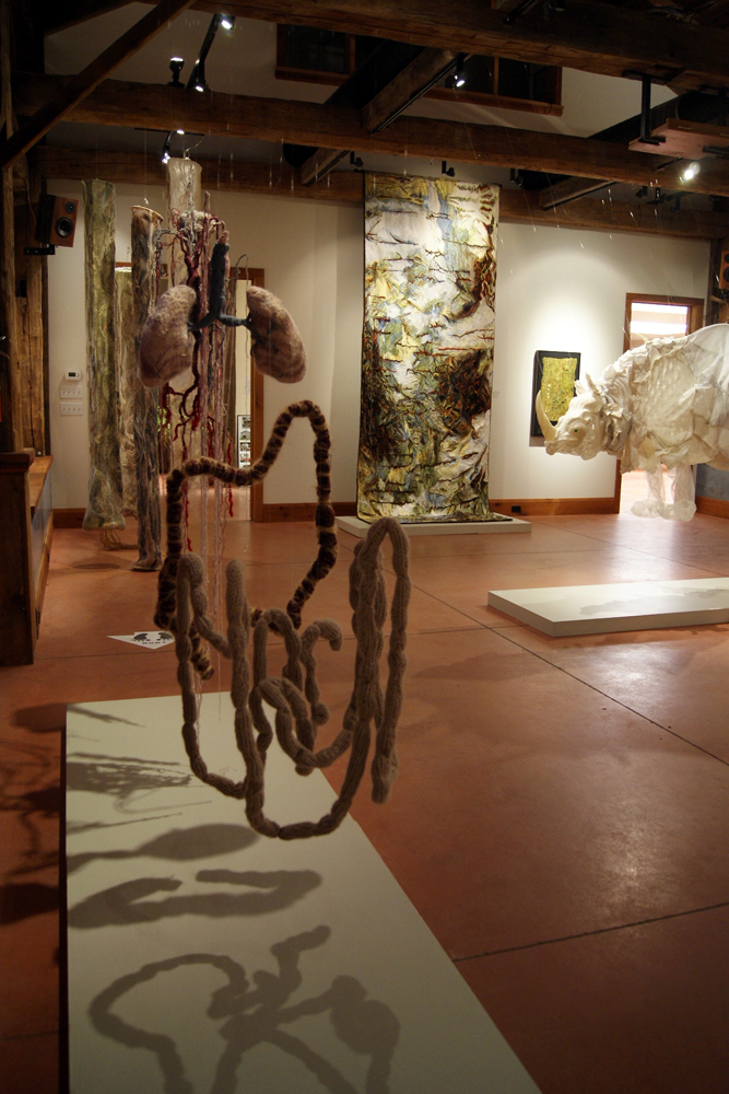 Jillian MacLachlan, The Anatomical Self, De rerum natura exhibition, World of Threads Festival 2012.