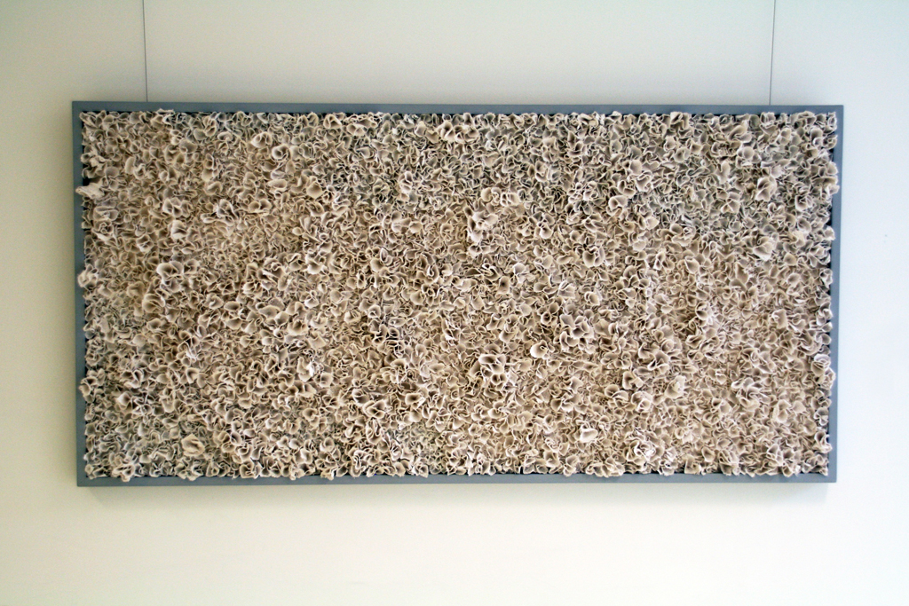 Wall Garden, 2016, 66 cm H x 152 cm W x 8 cm D, plaster cloth, canvas, paint, glue, nails and wood. Technique: individual pieces of plaster cloth are cut and wet shaped, attached individually to wood backing with nails and glue. Framed in a plywood frame. 