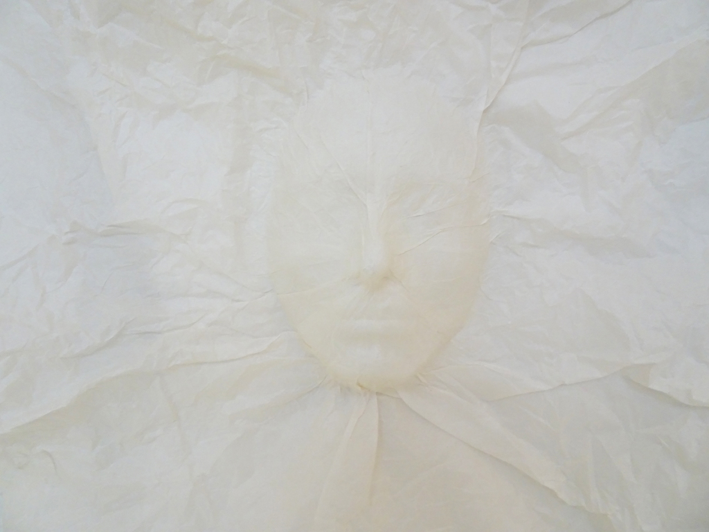 The Unbearable Lightness of Being, 2015, 240x220, Paper, Molding