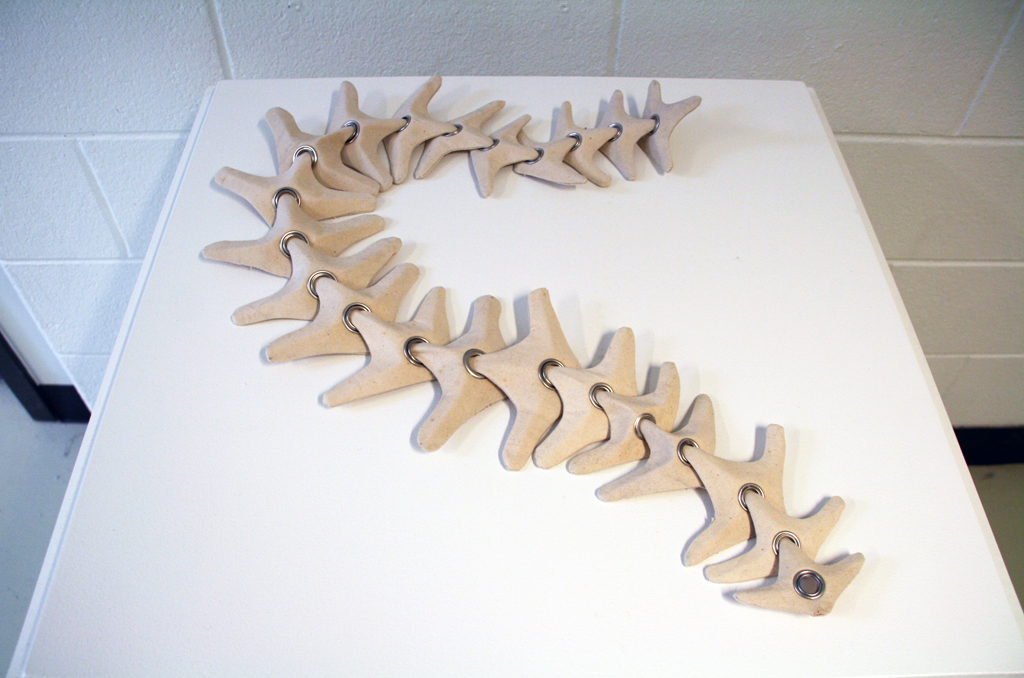 Spine, 2015, 100x15x2 cm. Unbleached cotton, nonwoven interlinings, eyelets. Object consists of 22 parts.