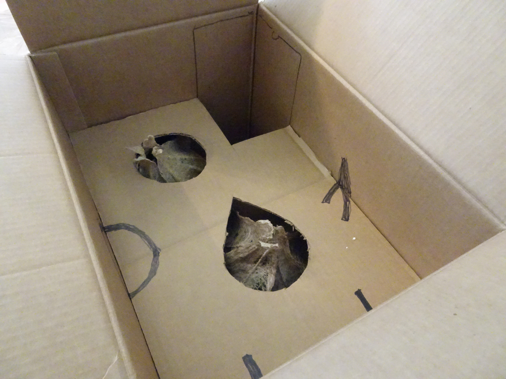 Parcel of artwork from George-Ann Bowers.