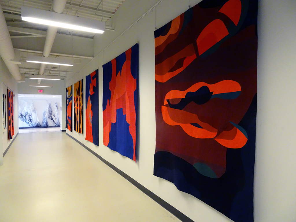 Installation view.