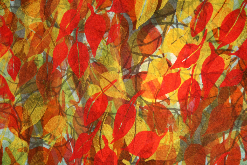 Autumn Glow: detail. Photo:  Pete Paterson