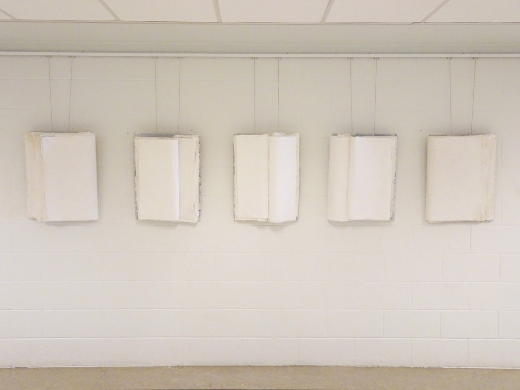 Pages from Life's Journey, Date: Fall 2015 / Spring 2016
Dimensions: 18" x 24" (all are same size), Medium: Mixed - Plaster & Fabric
Technique: Sculpturing of Fabric by use of Plaster.