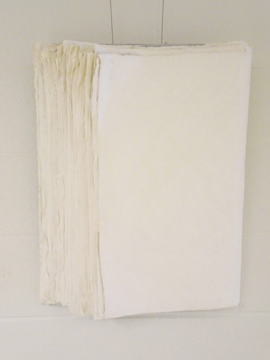 Pages from Life's Journey, detail.