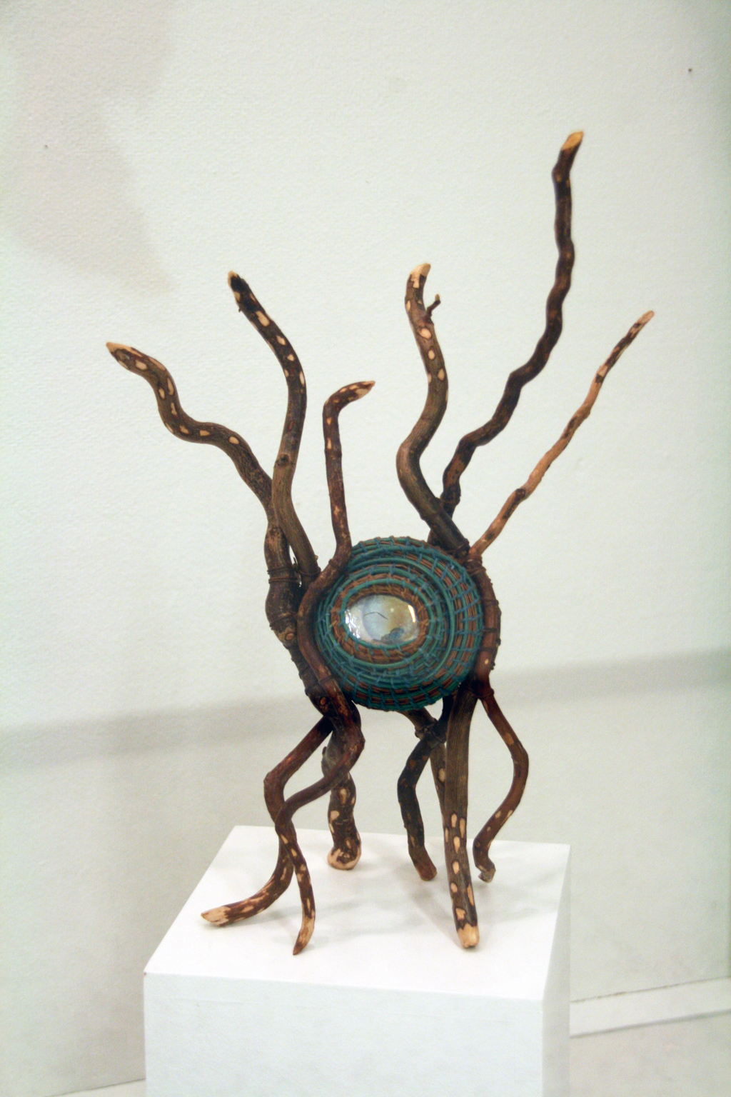 Helix, 2016, 32cm H x 22cm W x 12cm D, pine needles, waxed linen, glass, photo image, willow branches, tree roots, beeswax. Technique: coiled, stitched, encaustic.