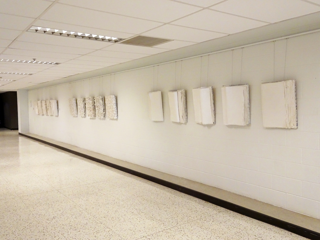 Installation view.