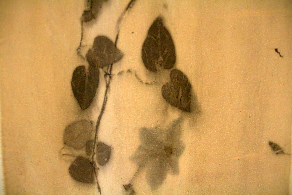 Linda Kollofski: Clematis Vine, detail.