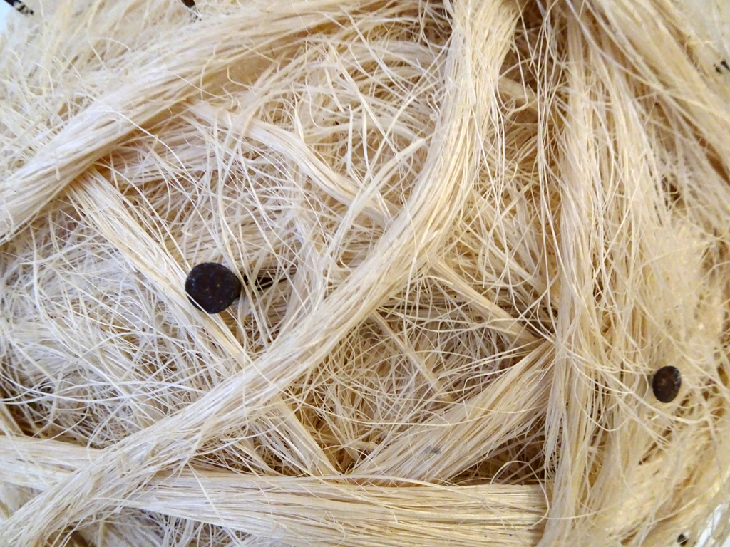 Melanie Chikofsky: Perplexity, detail.