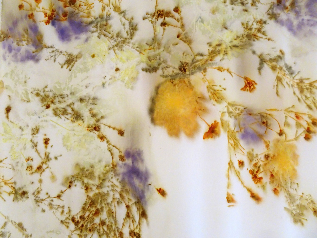 Linda Kollofski: Silk Charmeuse Coreopsis, detail.