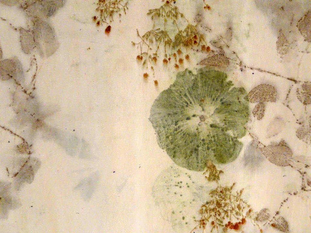 Linda Kollofski: Hibiscus and Coreopsis,  detail.