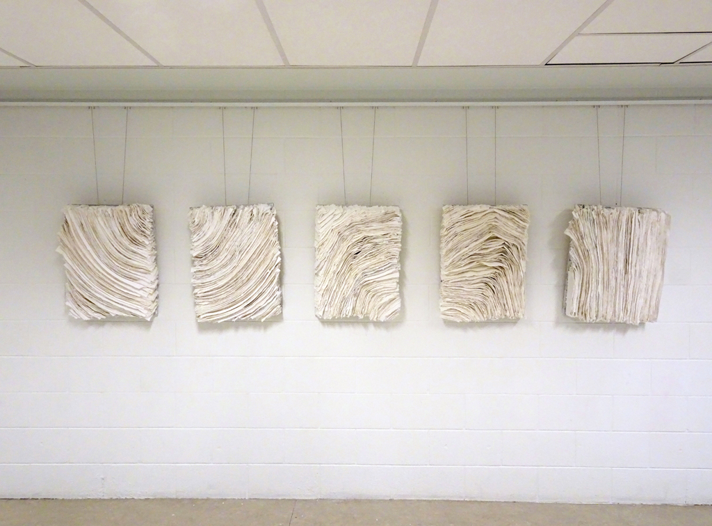 Pages from Life's Journey, Date: Fall 2015 / Spring 2016
Dimensions: 18" x 24" (all are same size), Medium: Mixed - Plaster & Fabric
Technique: Sculpturing of Fabric by use of Plaster.