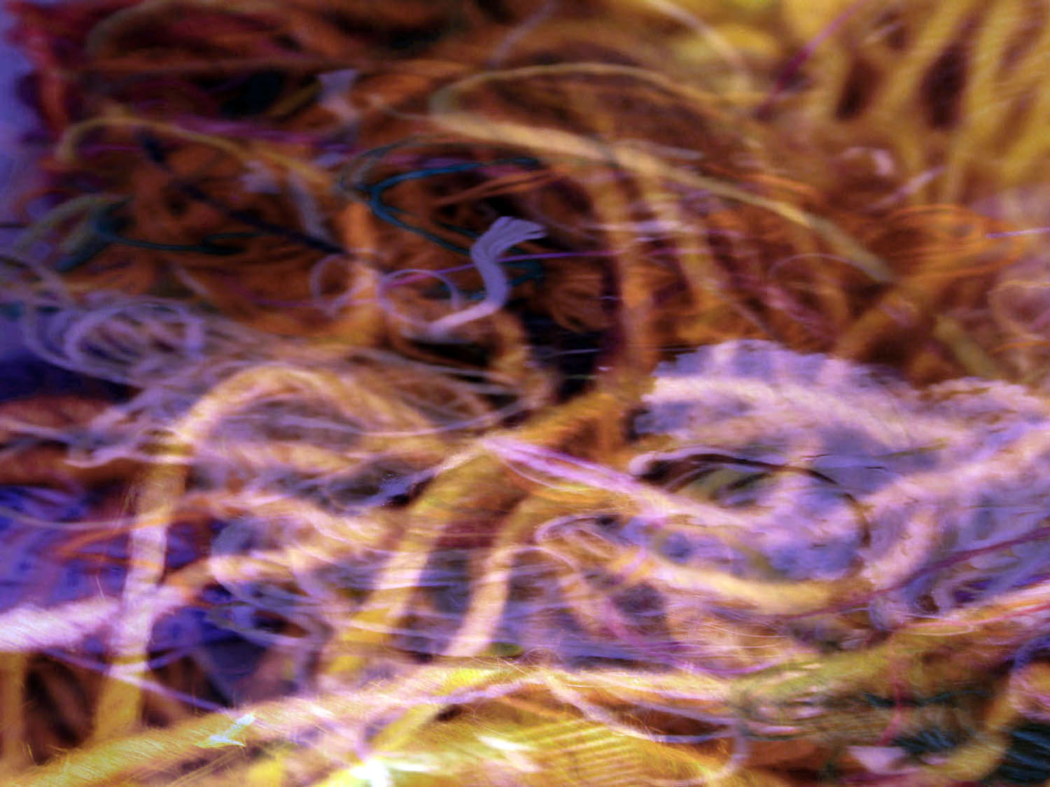 Image by Gareth Bate