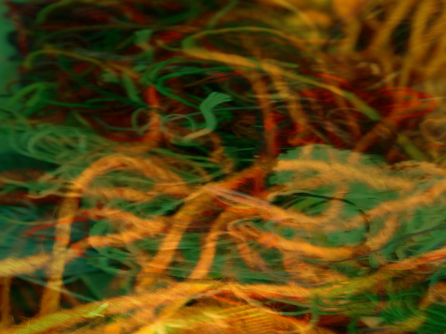 de-rerum-natura-background-world-of-threads-festival-gareth-bate