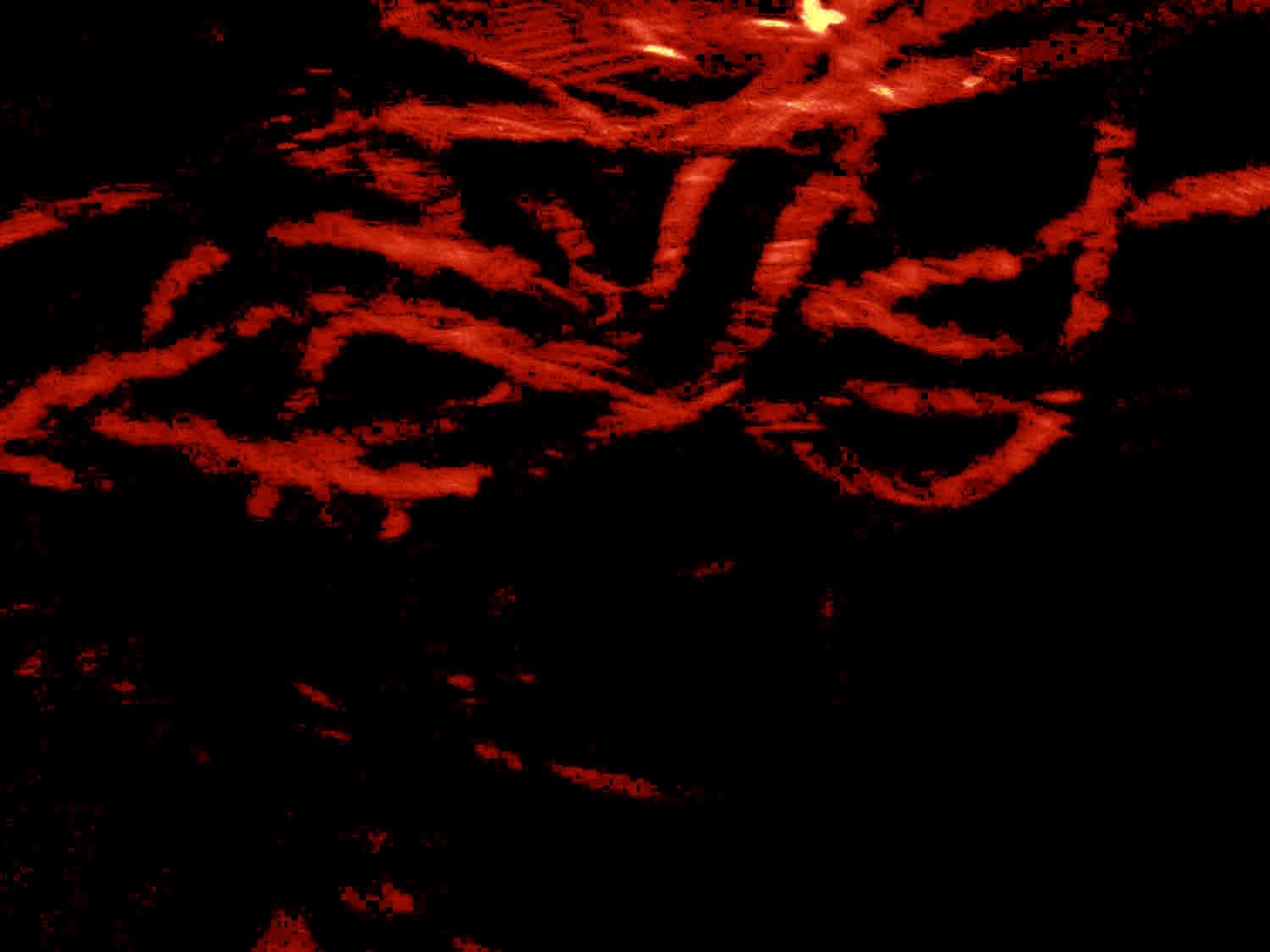 fibre-3d-background-world-of-threads-festival-gareth-bate