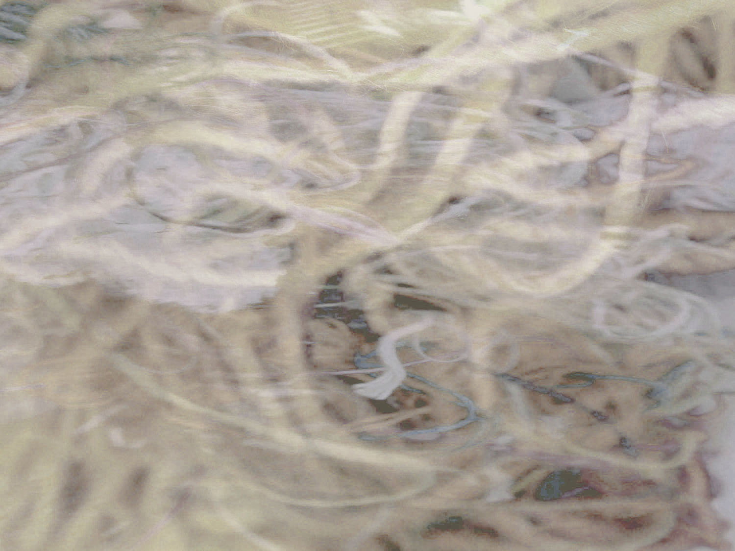 in-between-presence-worldo-of-threads-festival-gareth-bate