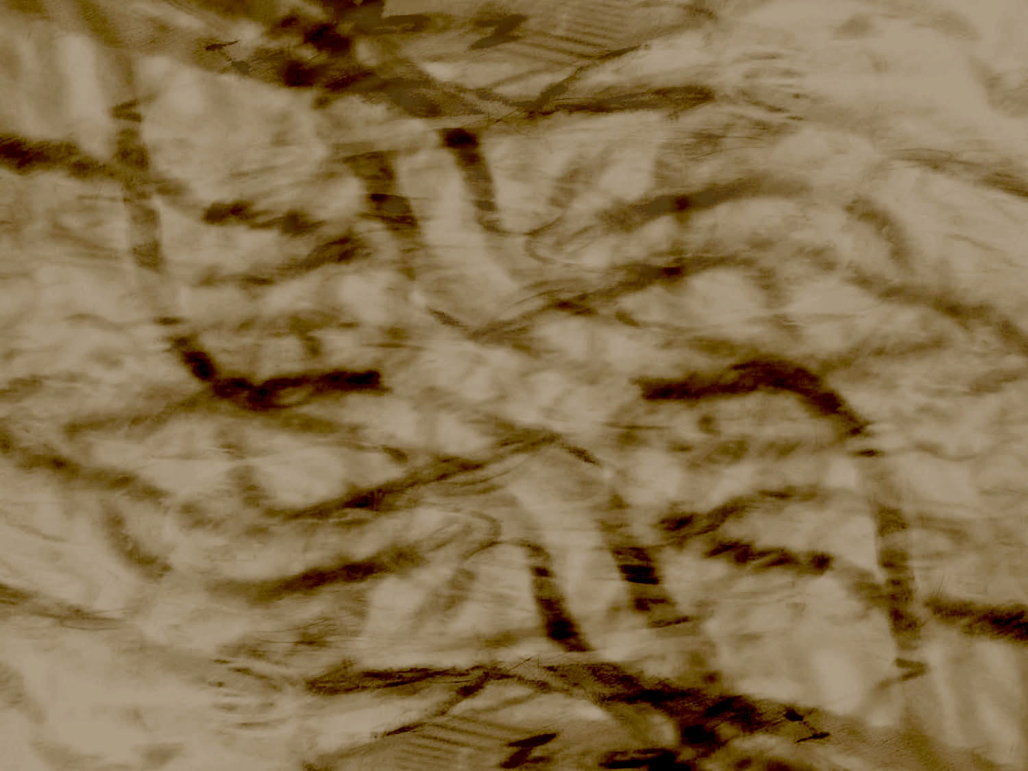 memento-mori-background-world-of-threads-festival-gareth-bate