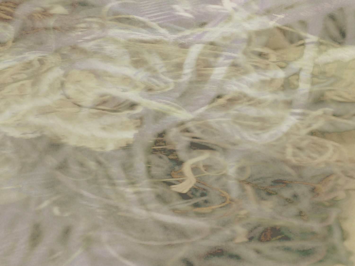 quiet-zone-ii-world-of-threads-festival-gareth-bate