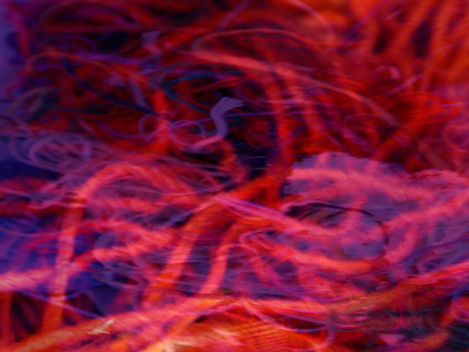 submissions_artwork_indoor_instlalations