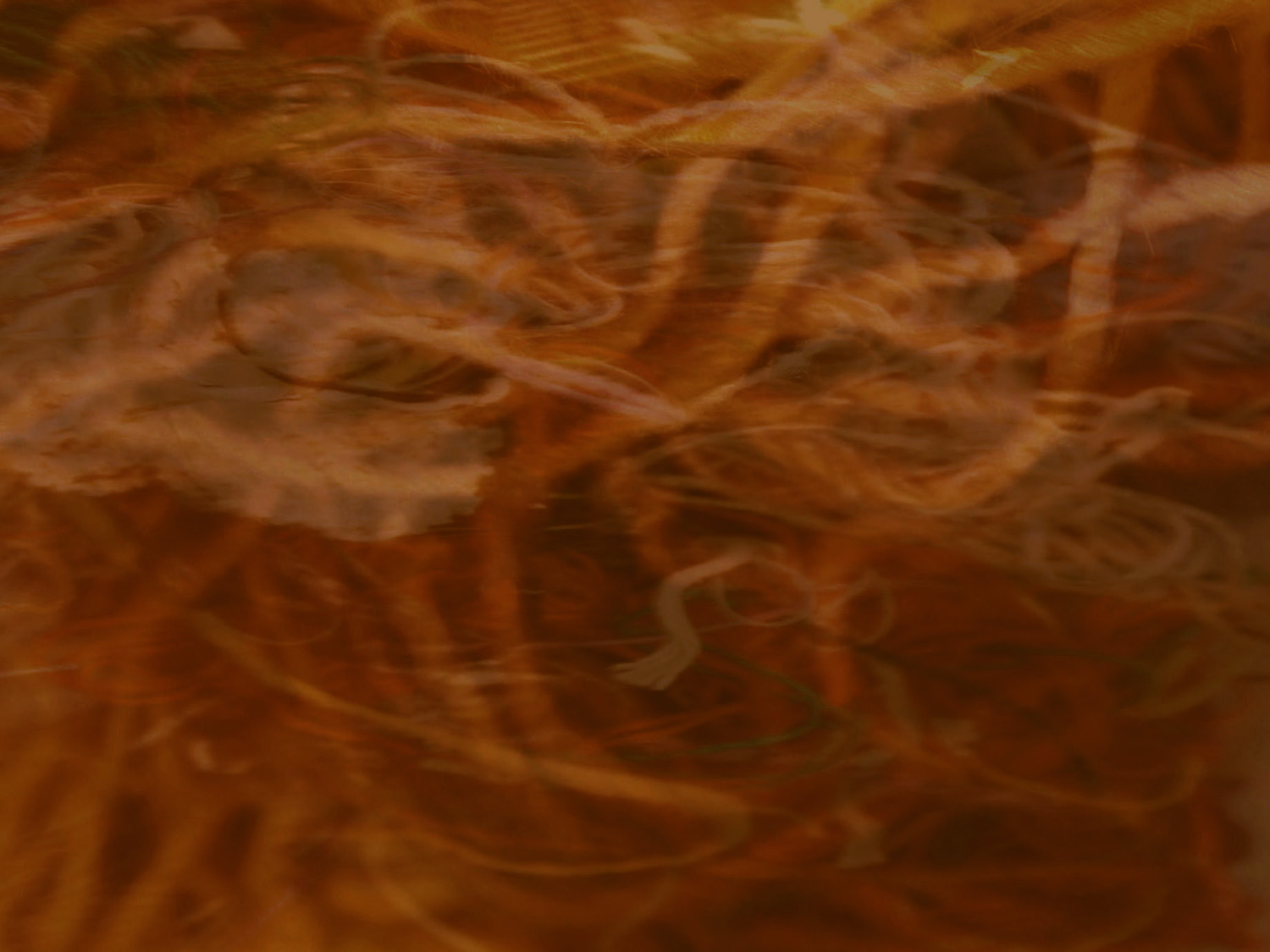 threadspace-background-world-of-threads-festival-gareth-bate