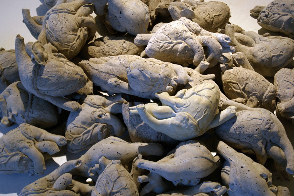 Anatomical Hearts, detail, Trish Delaney.