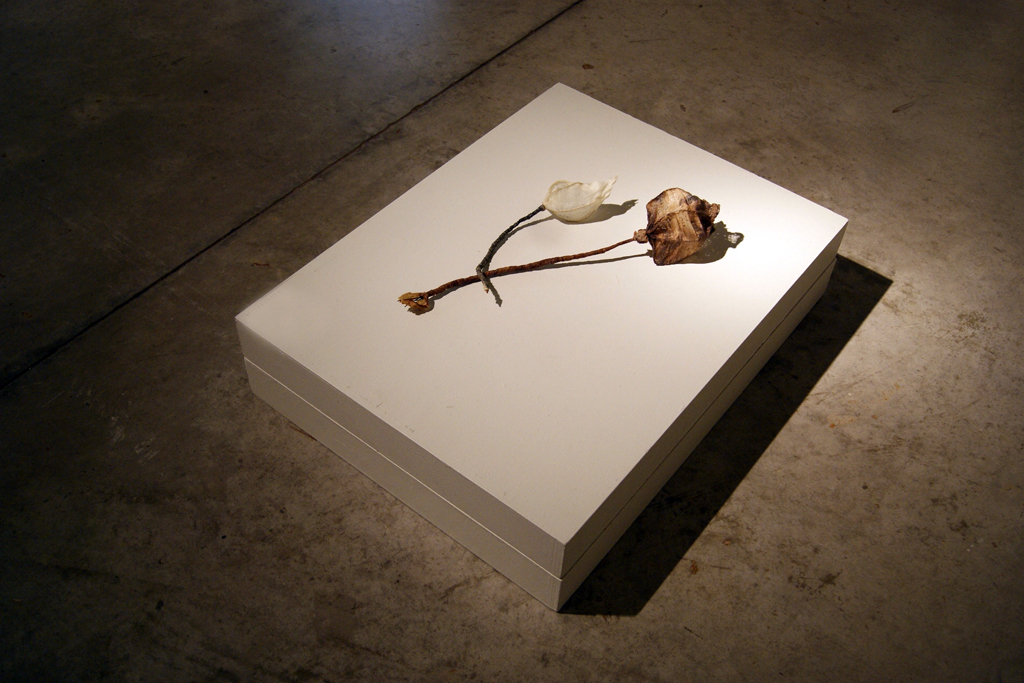 Skeletal Remains, Nancy Yule.