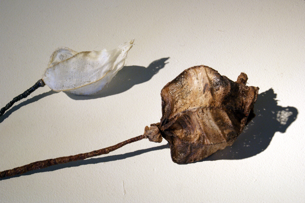 Skeletal Remains, detail, Nancy Yule.