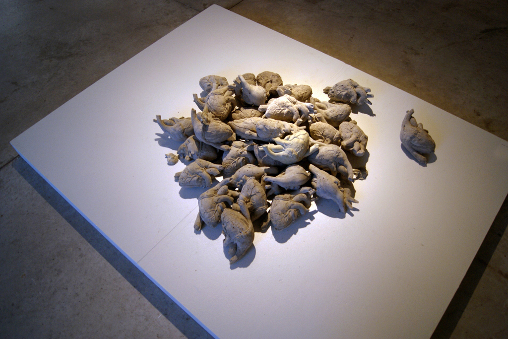 Anatomical Hearts, Trish Delaney.