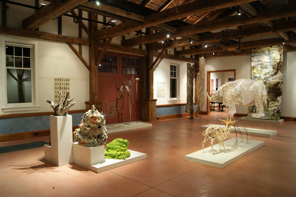 Installation view: De rerum natura, World of Threads Festival 2012.